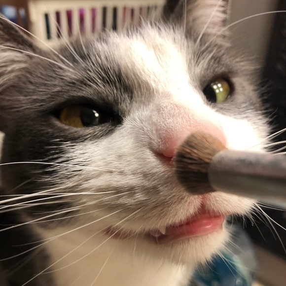 Meet your Posher Christina - Picture 12 of 13